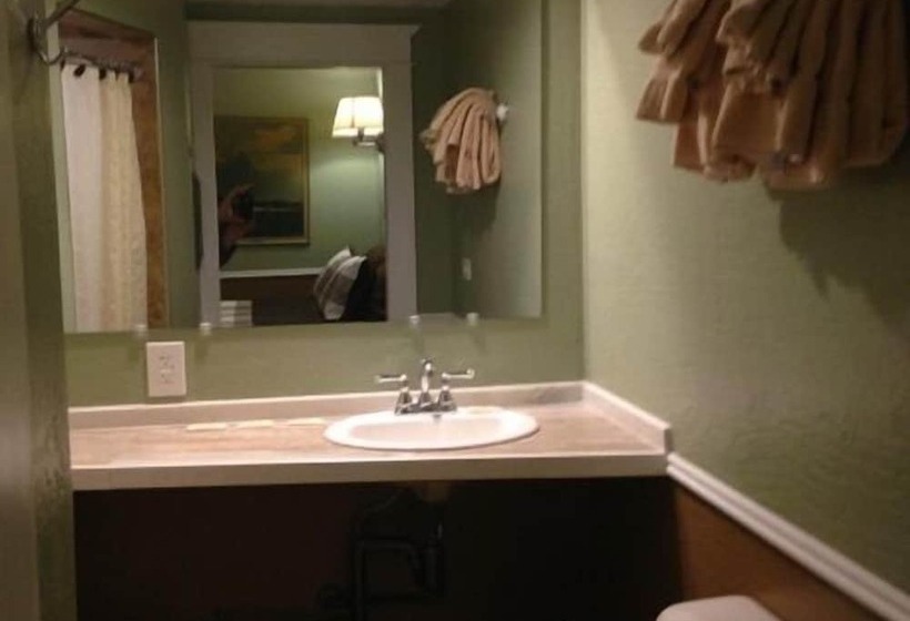 فندق The Kempton