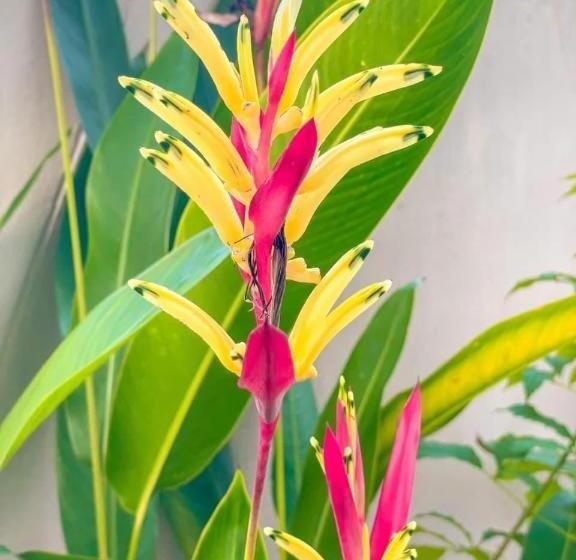 Hotel The Linux Garden