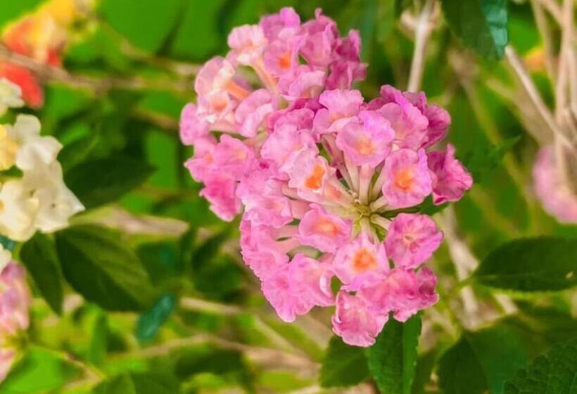 Hotel The Linux Garden