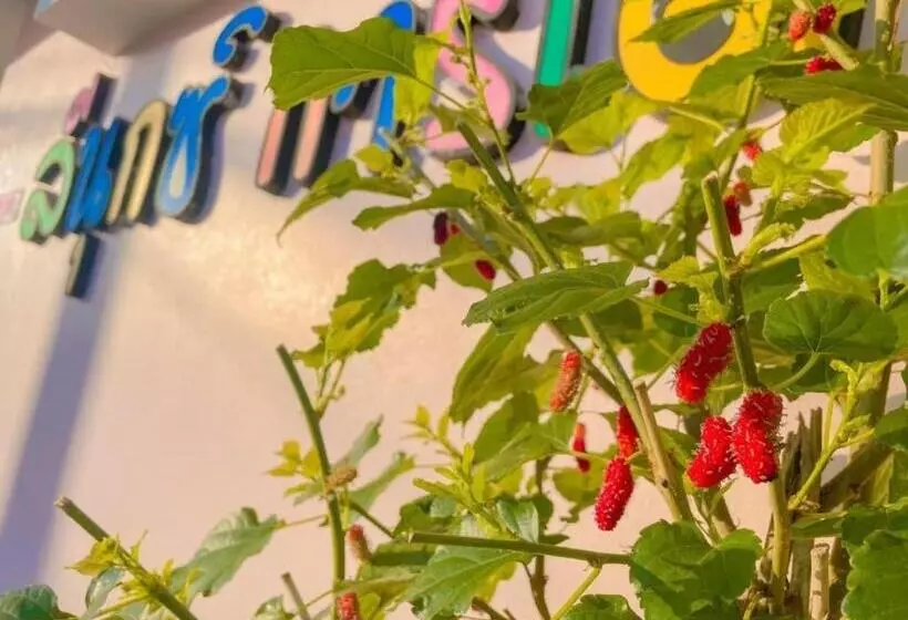 Hotelli The Linux Garden