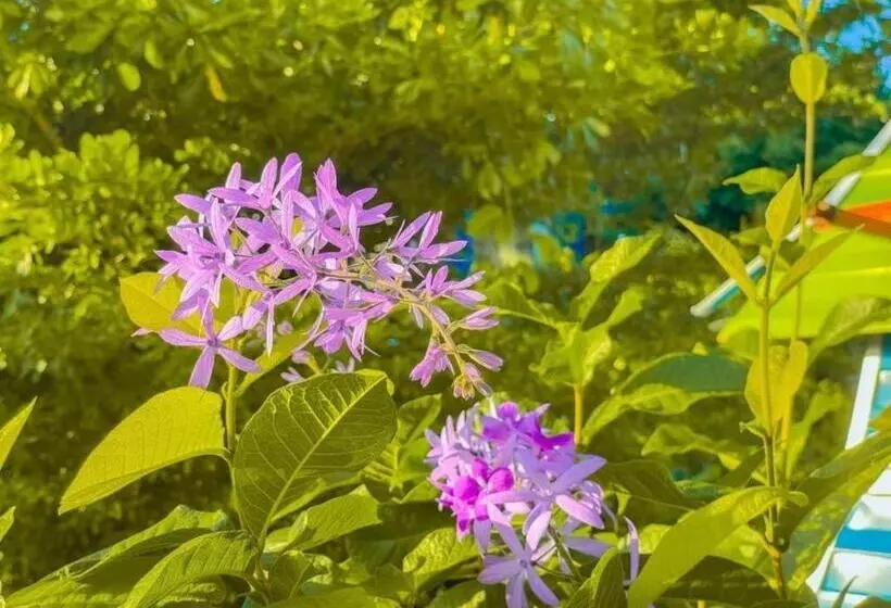 Hotelli The Linux Garden