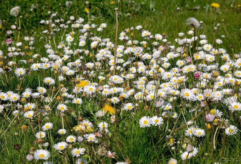 펜션 La Ferme Du Vieux Moulin
