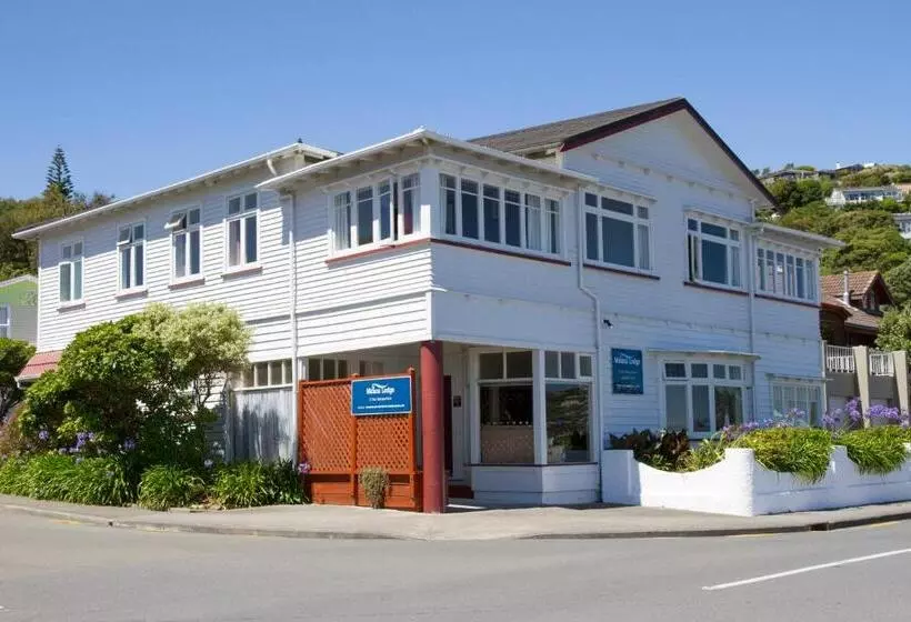 Retkeilymaja Moana Lodge