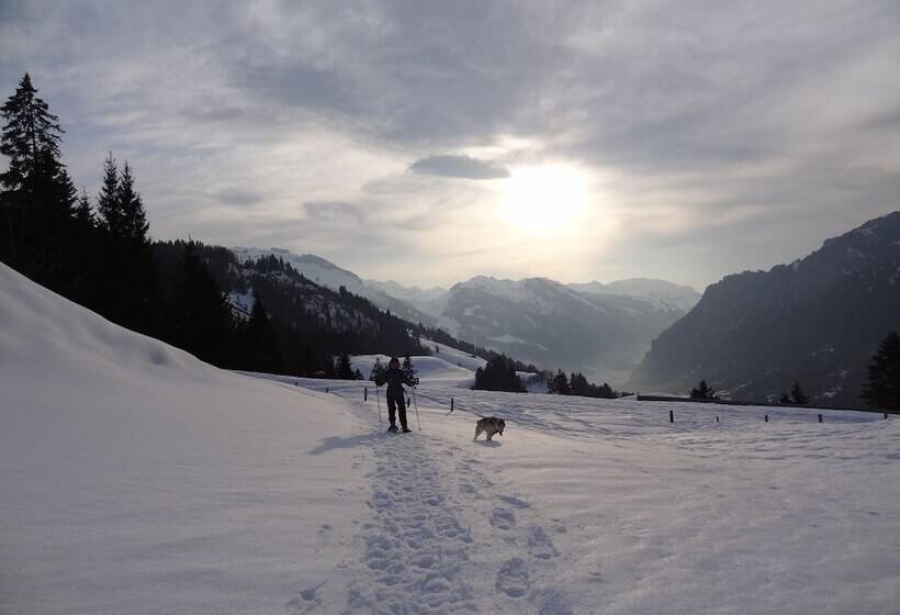 Hüttenhotel Husky Lodge