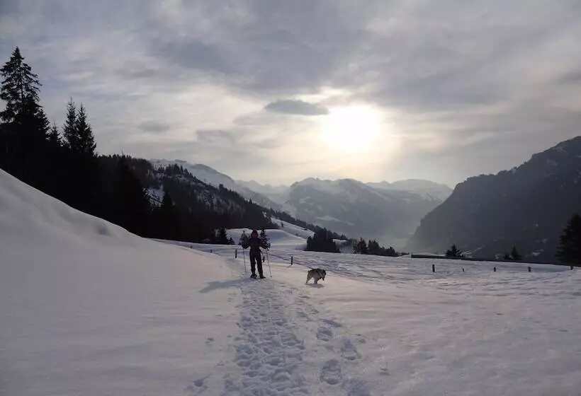 Hüttenhotel Husky Lodge