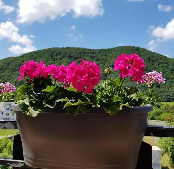 Majatalo Weingut Erich Serwazi