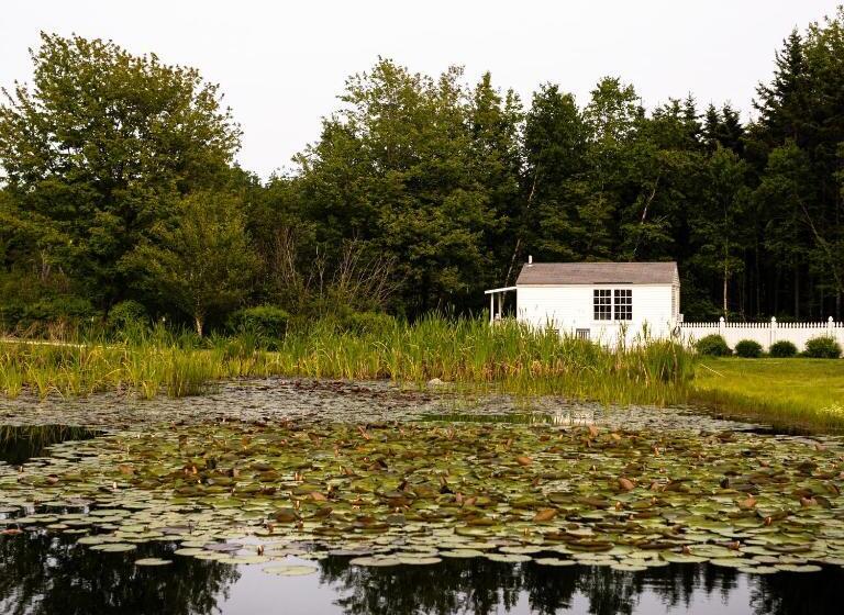 Szálloda Bluebird Ocean Point Inn