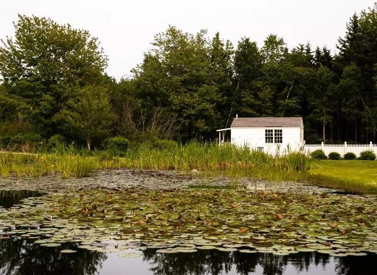 ホテル Bluebird Ocean Point Inn