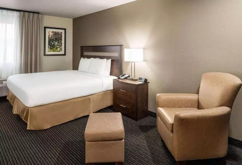 호텔 Travelodge By Wyndham Dexter