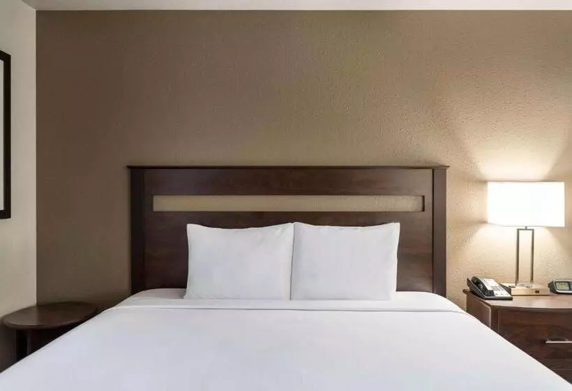 호텔 Travelodge By Wyndham Dexter