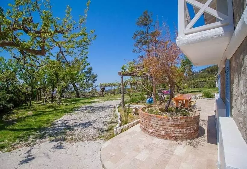 Casabodamya