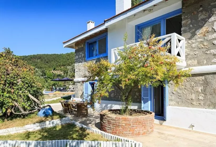 Casabodamya