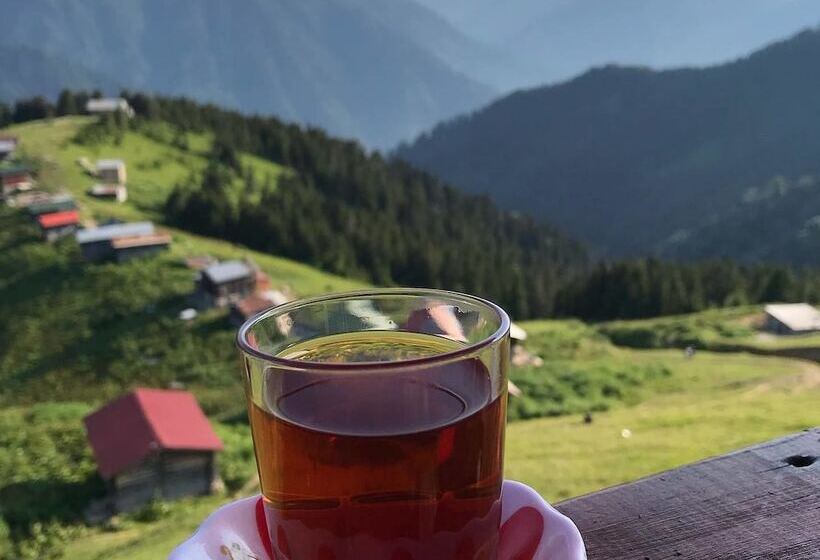 بنسيون Pokut Inn