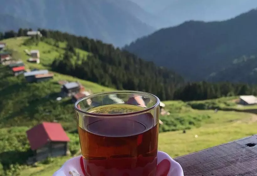 ペンション Pokut Inn