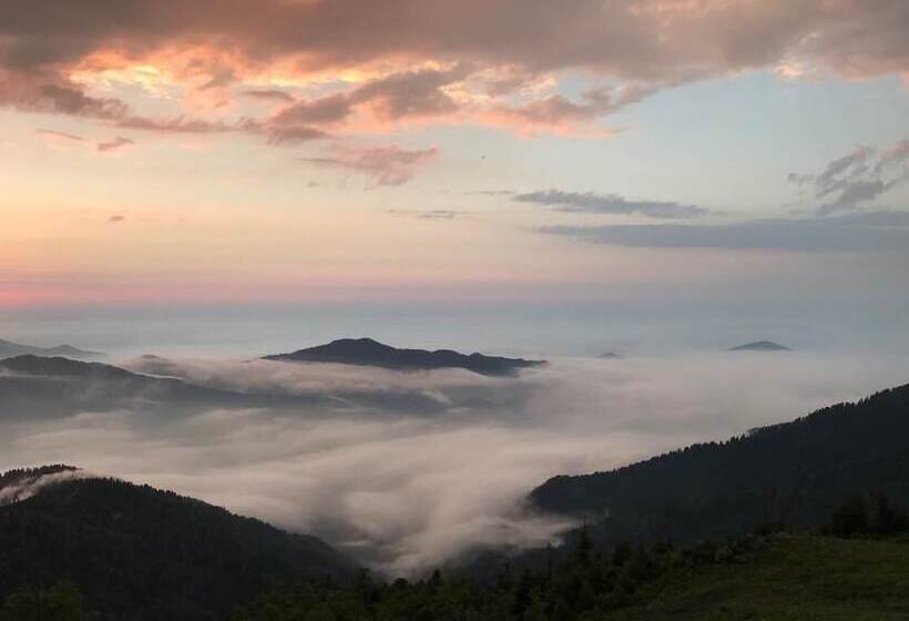 بنسيون Pokut Inn