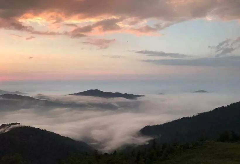 ペンション Pokut Inn