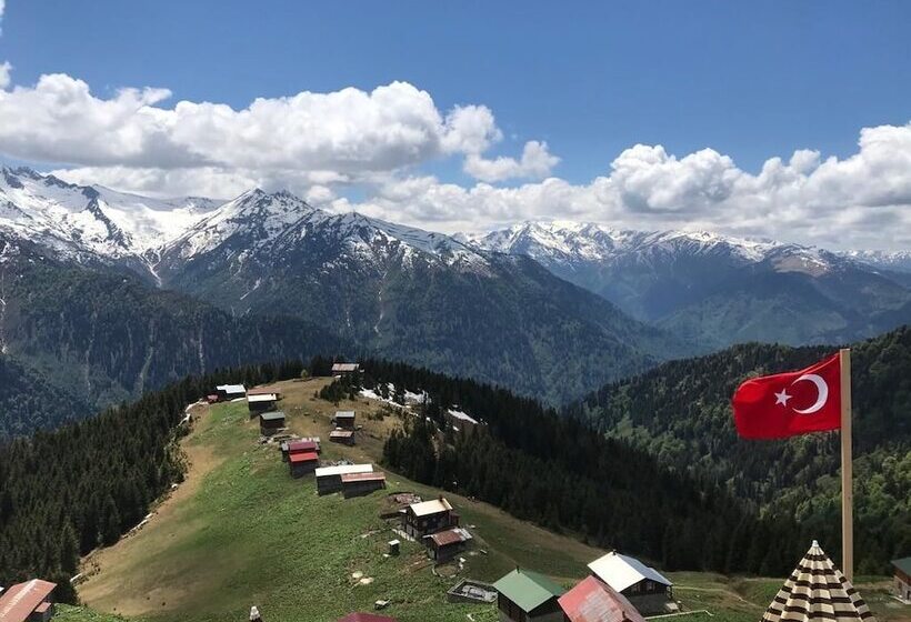 بنسيون Pokut Inn