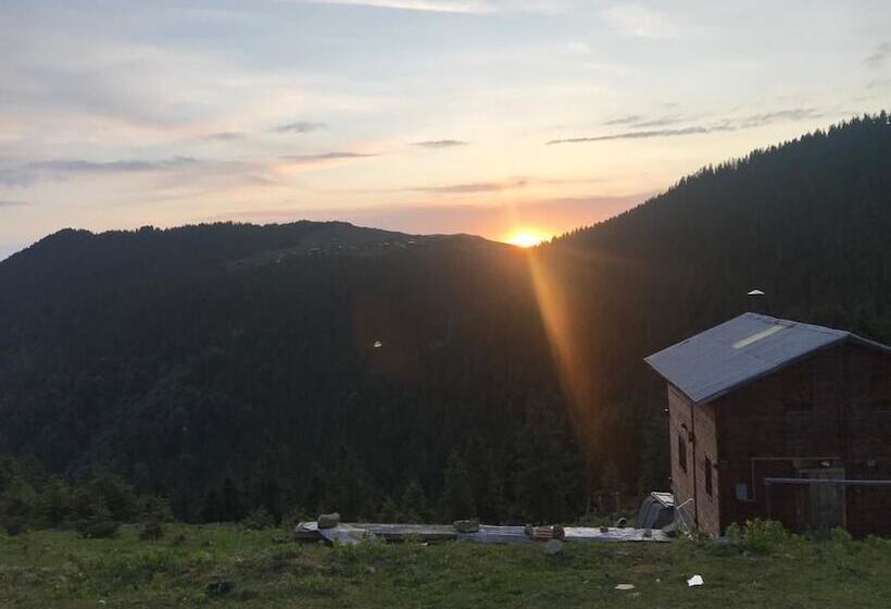 بنسيون Pokut Inn