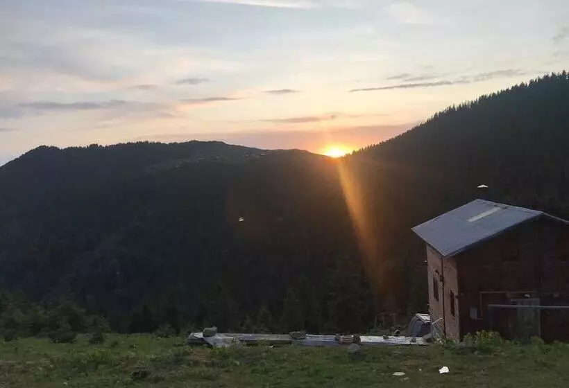 ペンション Pokut Inn