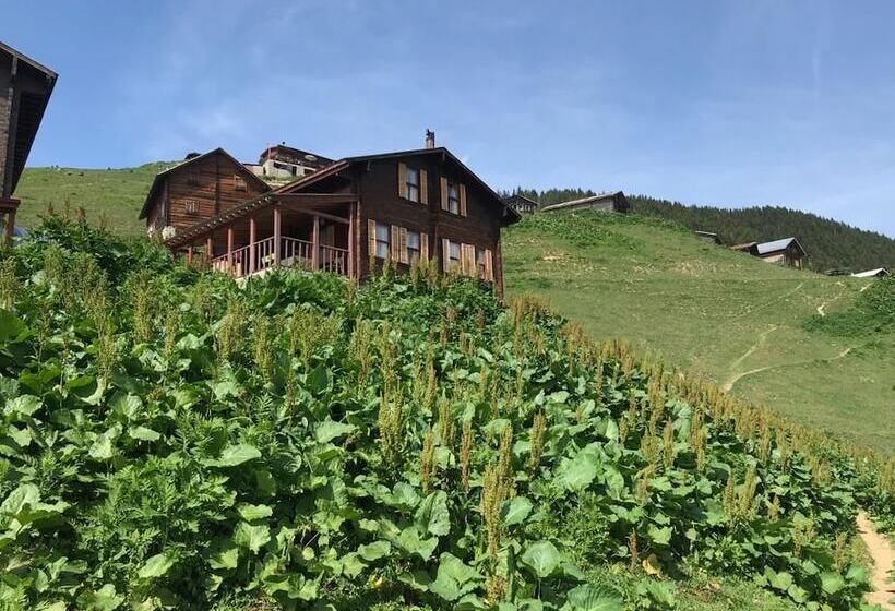 بنسيون Pokut Inn