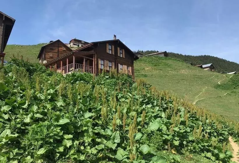 ペンション Pokut Inn