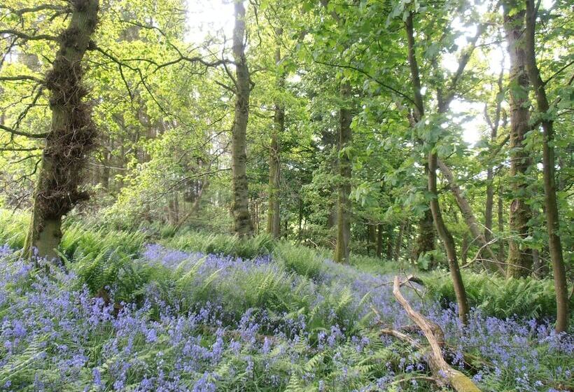 Smithy Cottage, Perthshire