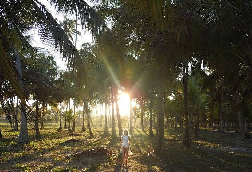 هتل Pousada Rota Ecologica