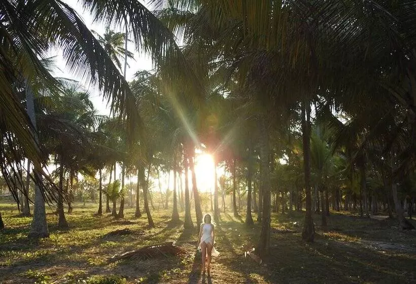 Hotelli Pousada Rota Ecologica