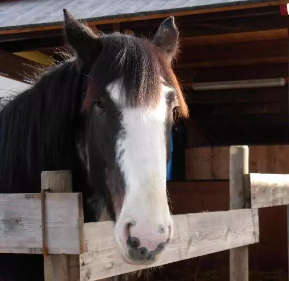 Maaseutuhotelli Agriturismo Tra Serra E Lago