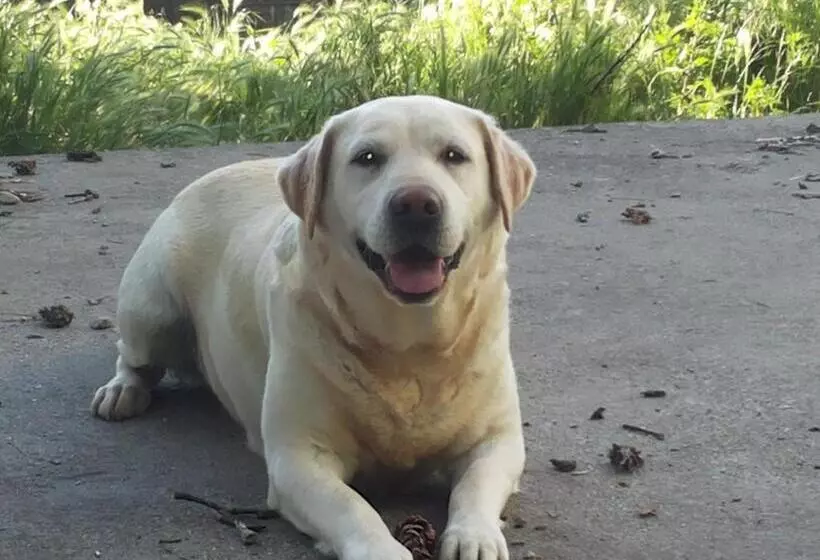 Maaseutuhotelli Agriturismo Tra Serra E Lago