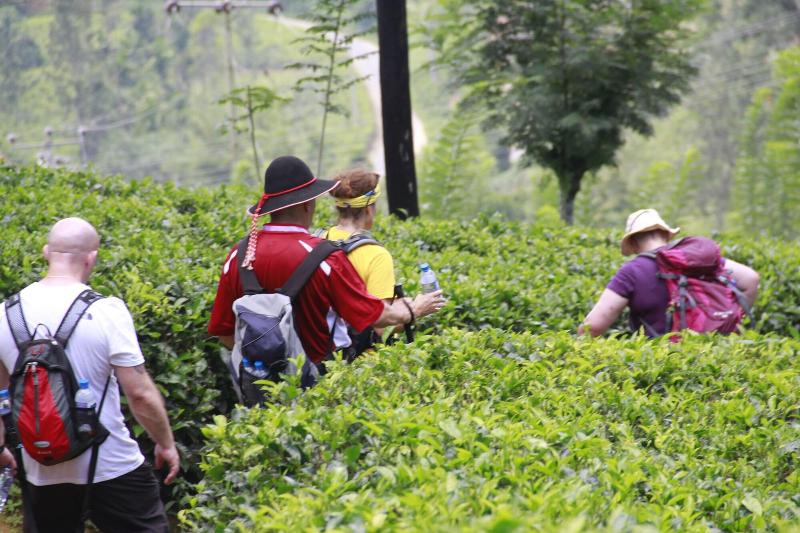 Pensionat Punsisi Resort