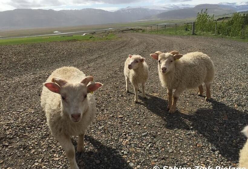 پانسیون Setberg Guesthouse