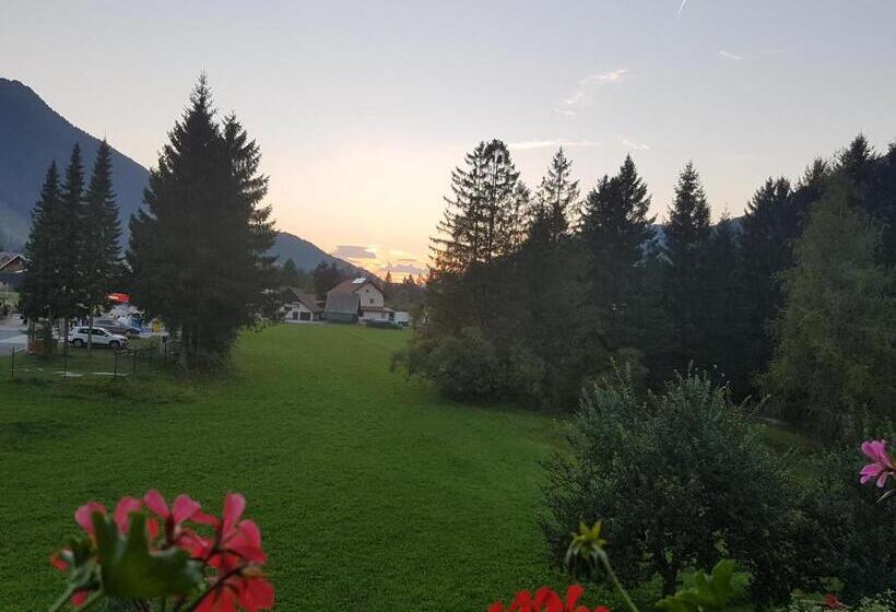 פנסיון Apartments And Rooms Milena