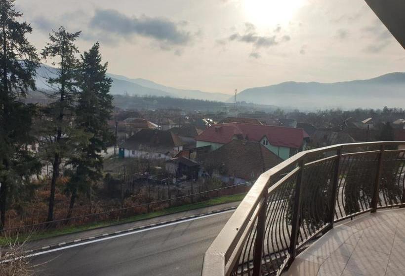 هتل Pensiunea El Ryo