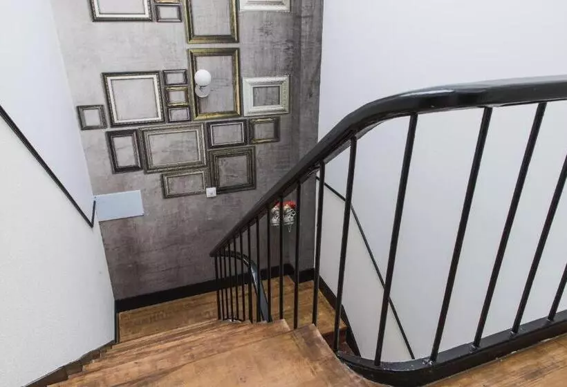 پانسیون The Twenties