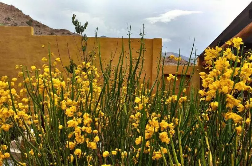 Aamiaismajoitus (B&B) Retama