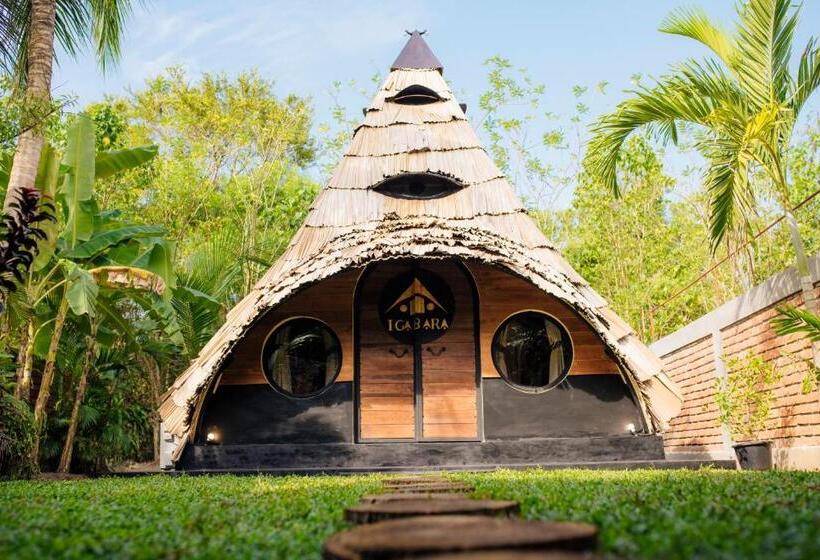 Hotel Igabara Hobbit House