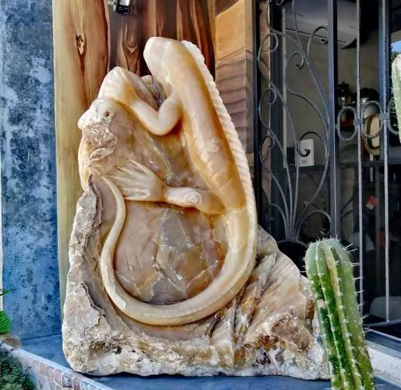 Madre Tierra Hotel & Coworking & Hostal