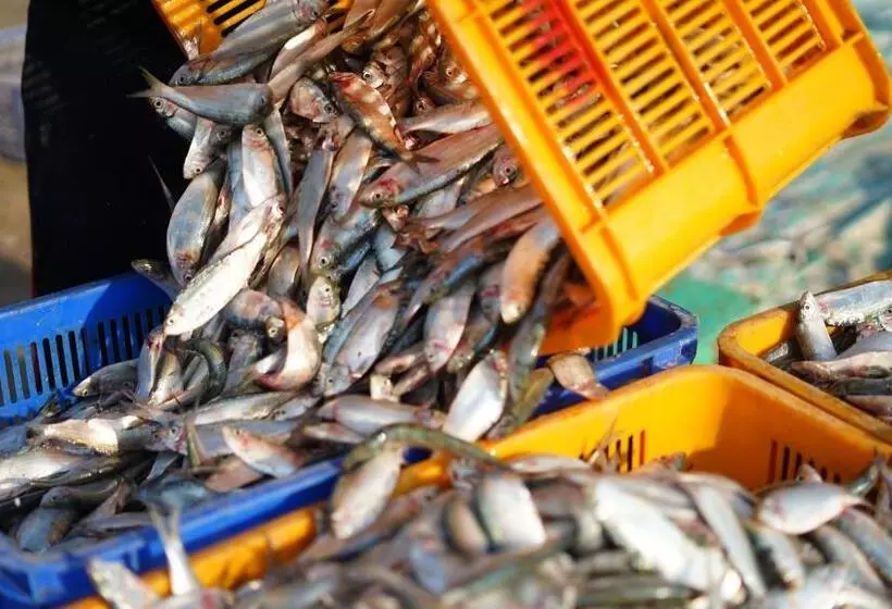 Stop And Go Lang Chai Boutique Resort