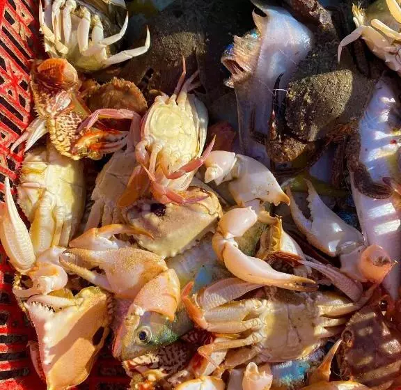 Stop And Go Lang Chai Boutique Resort