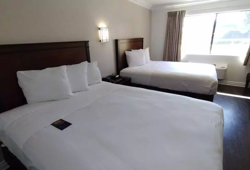 Отель Baymont By Wyndham Ontario