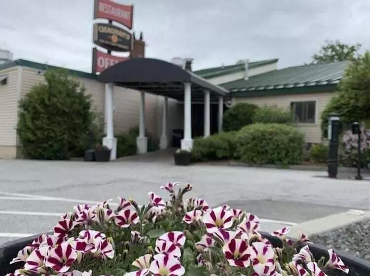 هتل Fireside Inn And Suites Bangor