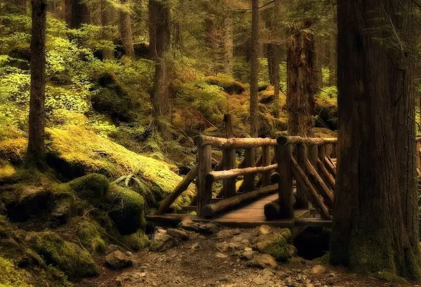 هتل Olympic Inn & Suites Port Angeles