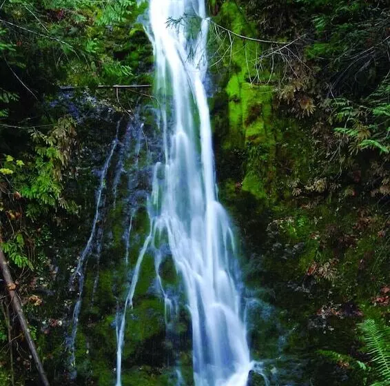 هتل Olympic Inn & Suites Port Angeles