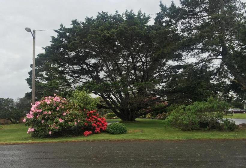 酒店 Pine Beach Inn