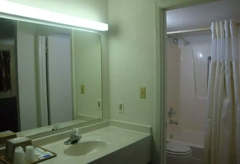 Отель Topeka Plaza Inn