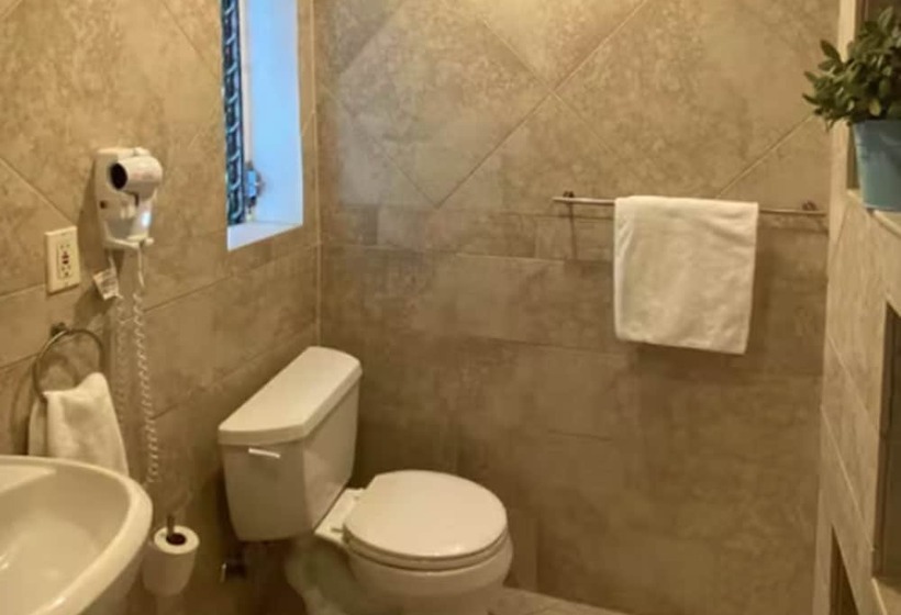 酒店 Ponce De Leon