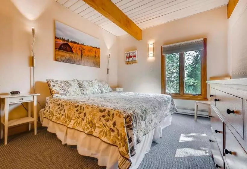 Отель Ptarmigan House By Steamboat Resorts