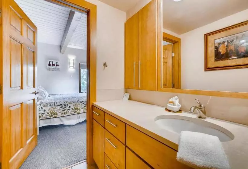 Отель Ptarmigan House By Steamboat Resorts