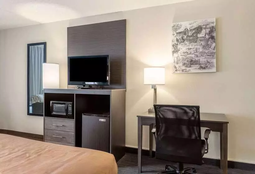 هتل Quality Inn Branson On The Strip